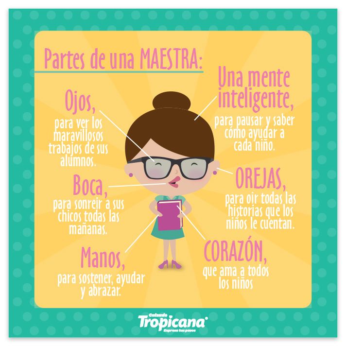 ¿Cuántos años se necesita para ser maestra de primaria?