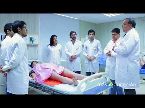 Cuántos años tiene un doctorado