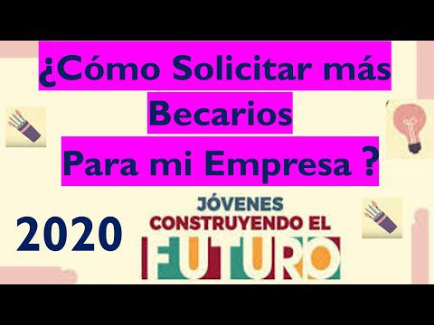 Cuántos becarios se pueden tener en una empresa