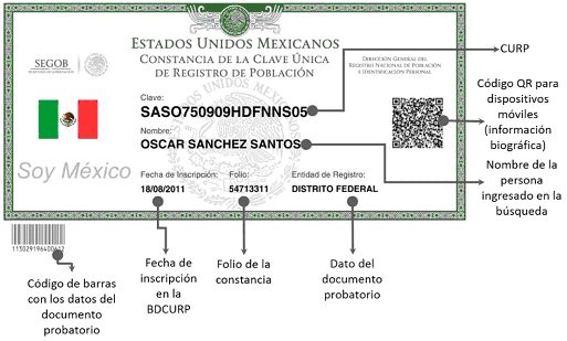 CURP en Cédula Única: Llenado y significados clave