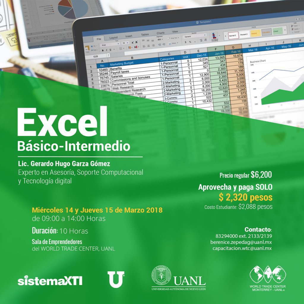Cursos de Excel en Monterrey: opciones y recomendaciones