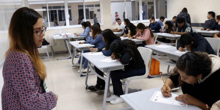 Cursos en el ENALLT de la UNAM: Conoce las opciones disponibles