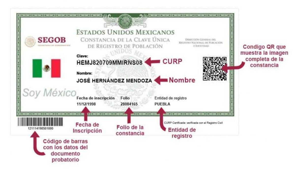 Delito penalizado: Obtener CURP falsa. Cumple la ley y obtén CURP legalmente