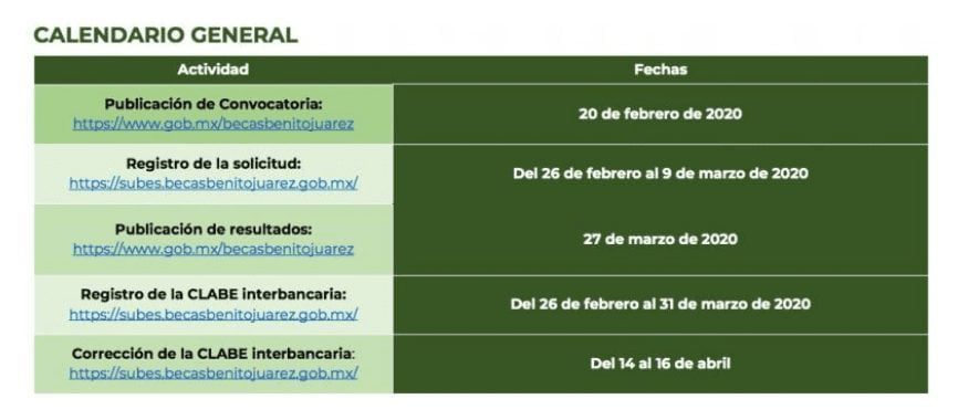 Depósito de beca de manutención: Fecha y forma de verificación