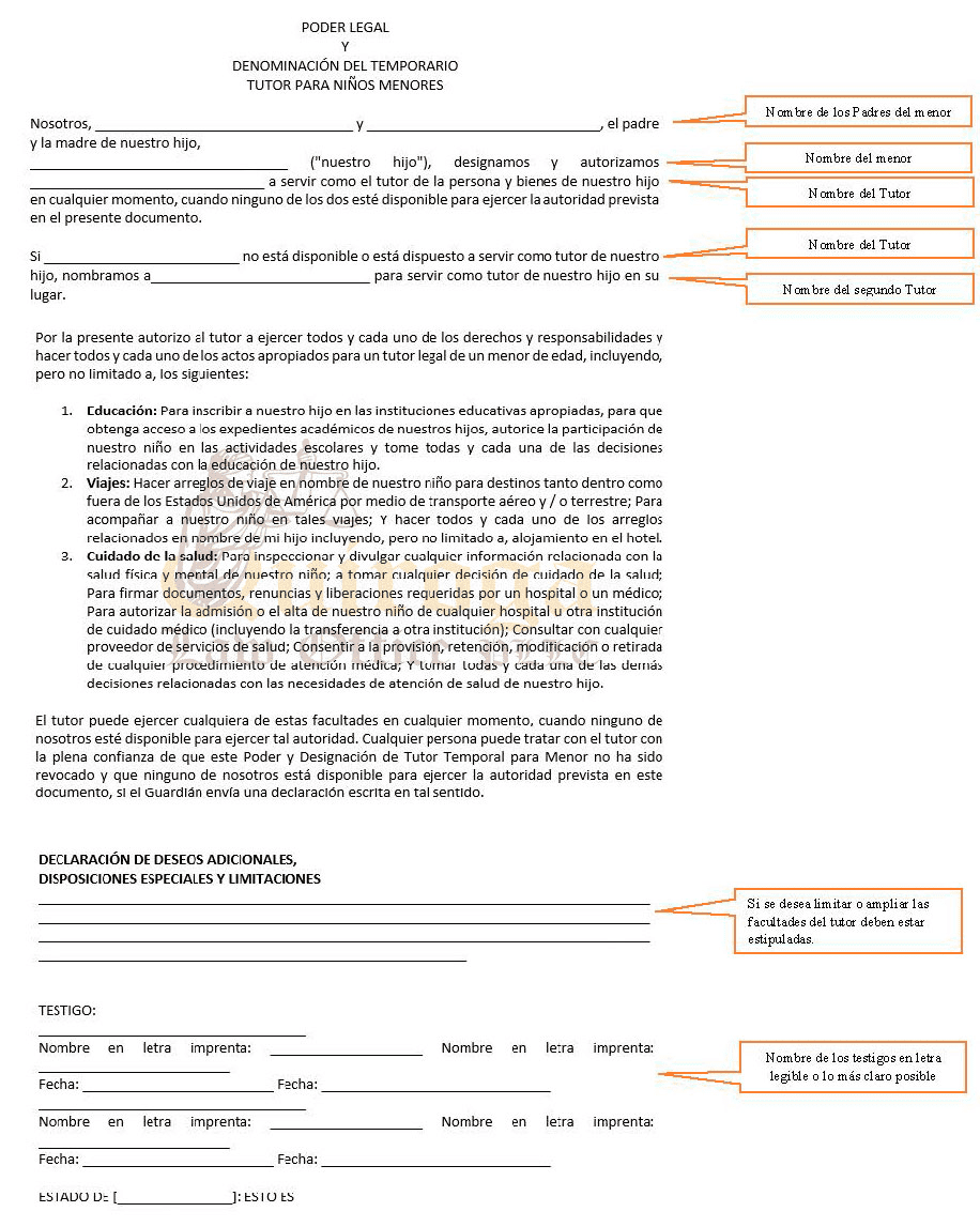 Derechos y procedimientos en caso de pérdida de custodia parental