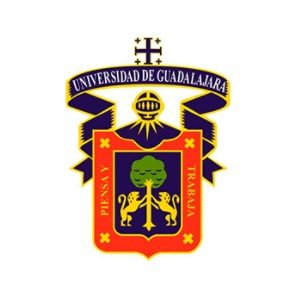 Conoce las maestrías en línea de la UDG para potenciar tu carrera