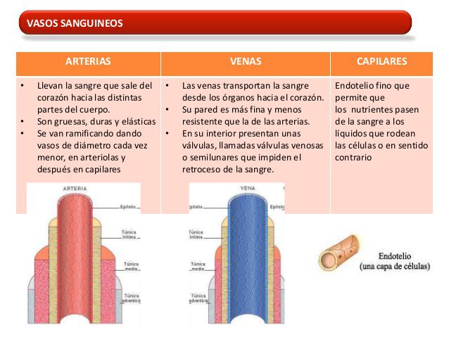 Diferencia entre becario y prácticas: ¿En qué se diferencian?