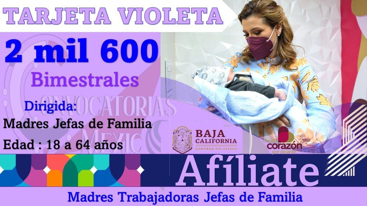 Dónde obtener tarjeta violeta en Tijuana: información y ubicación