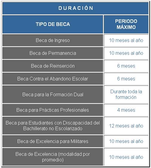 Duración máxima de beca en empresa: ¿Cuántos meses como becario?