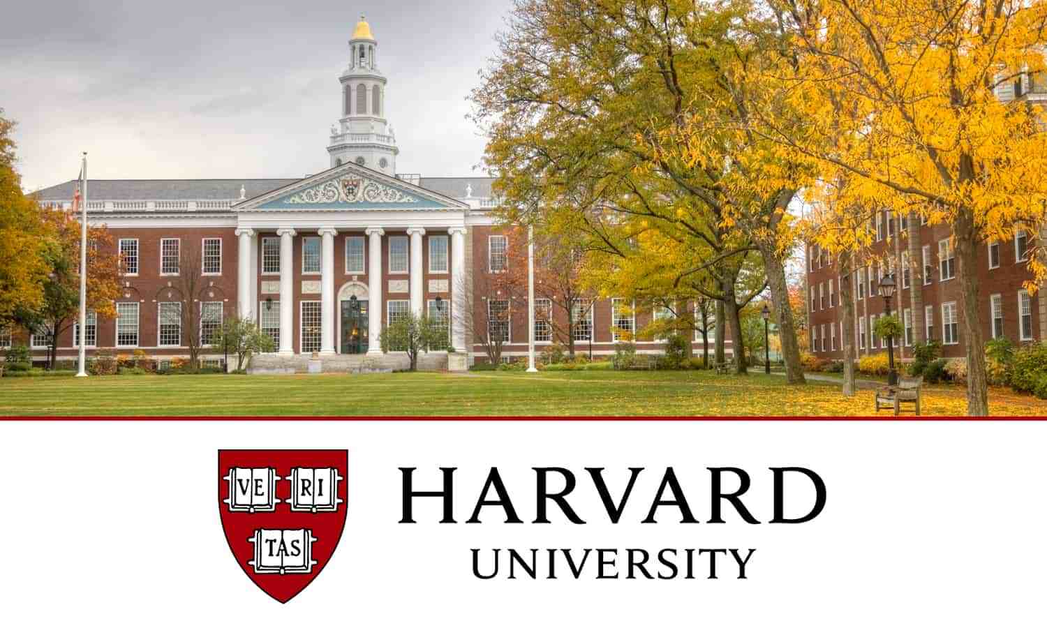 El idioma principal en la Universidad de Harvard es el inglés