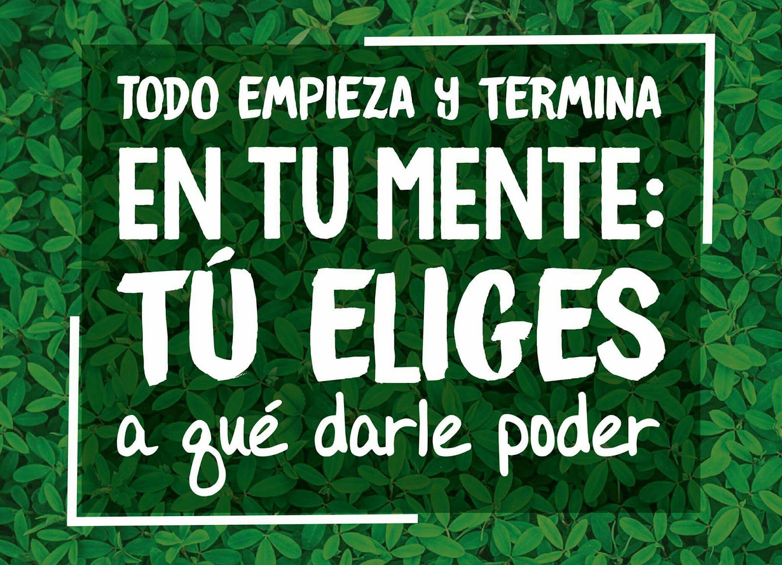 Encuentra avisos de bienestar en Facebook y mejora tu vida