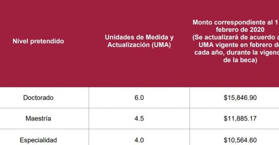 El número de becas otorgadas anualmente por el Conacyt