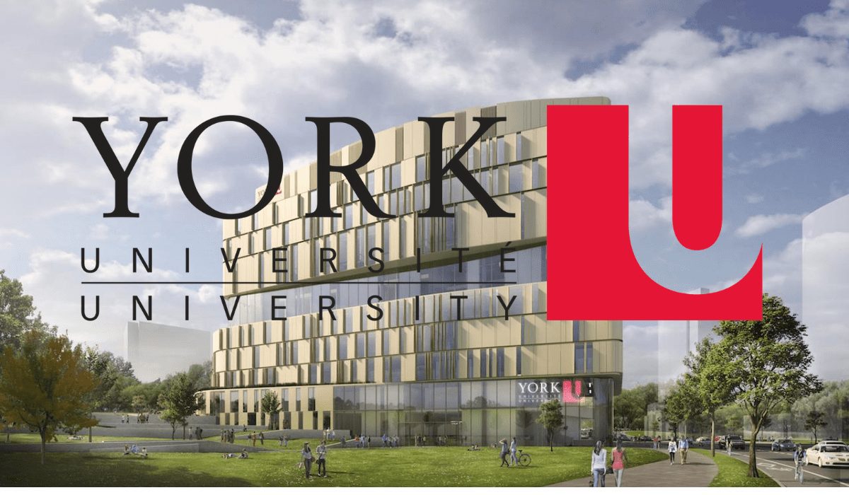Explorando programas académicos en la Universidad de York