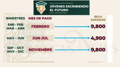 fecha de pago de la beca jovenes escribiendo el futuro cuando se realiza