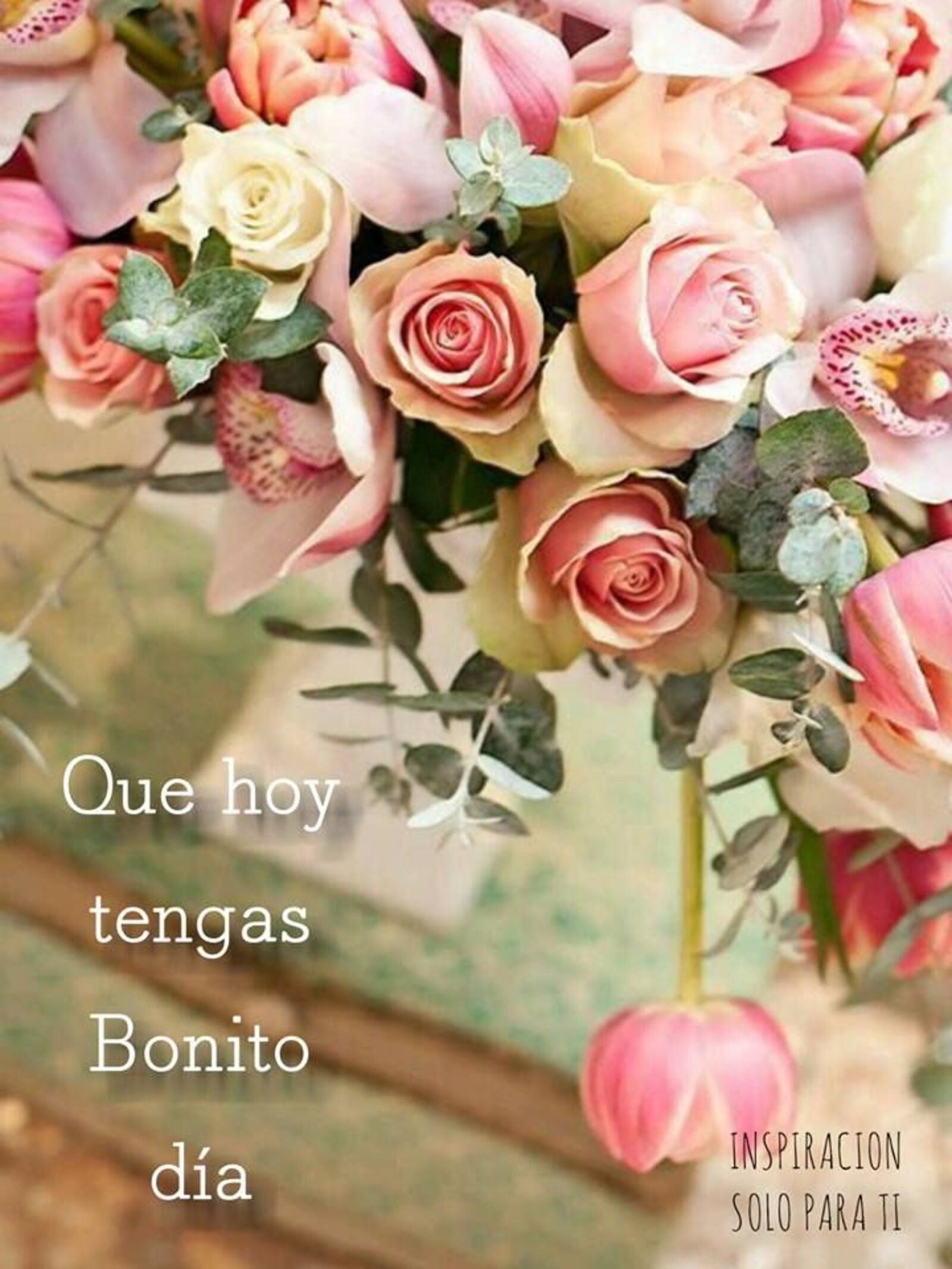 Flores frescas y hermosas para los buenos días