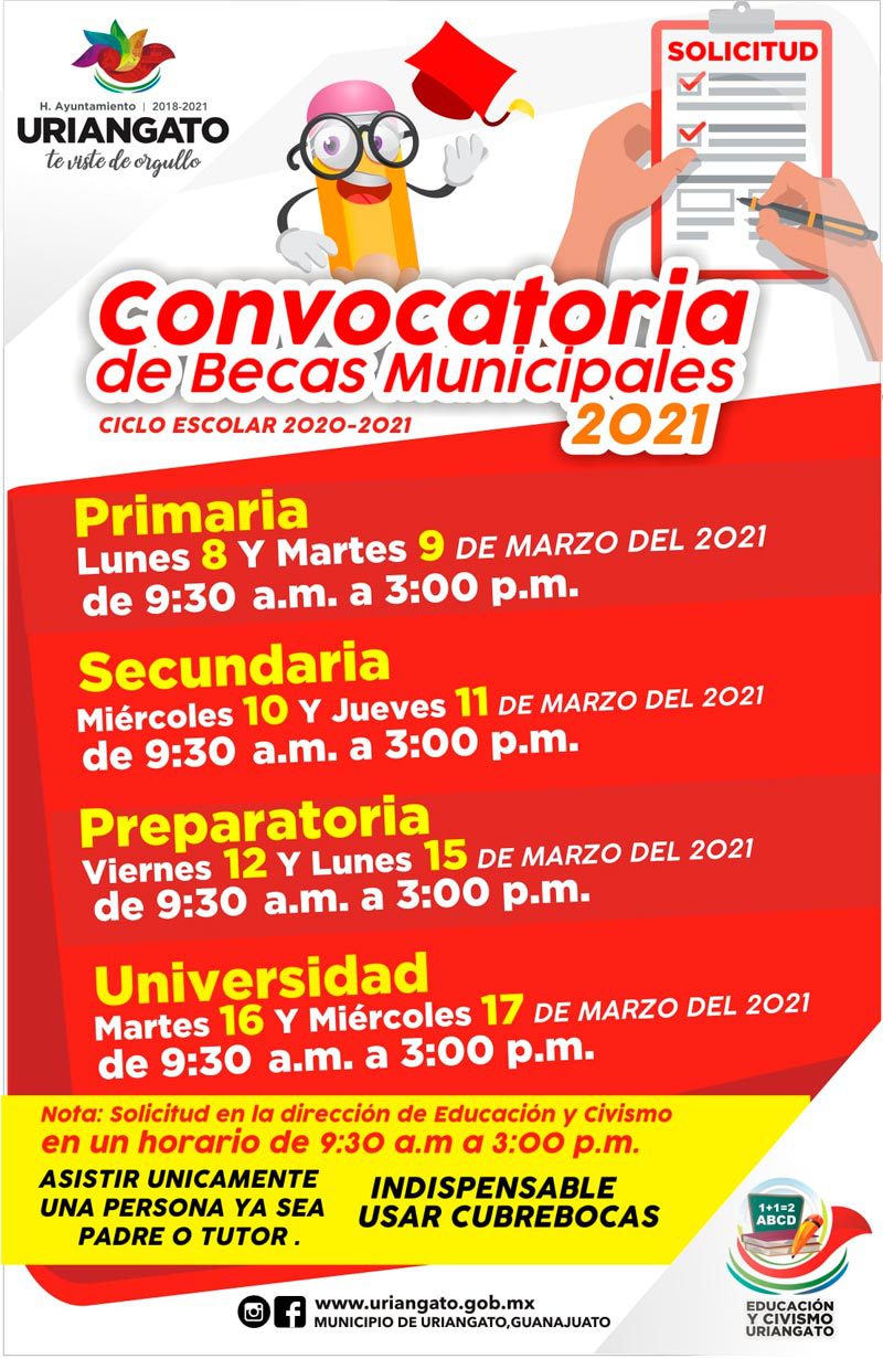 Guía completa para aprovechar becas educativas en Guanajuato