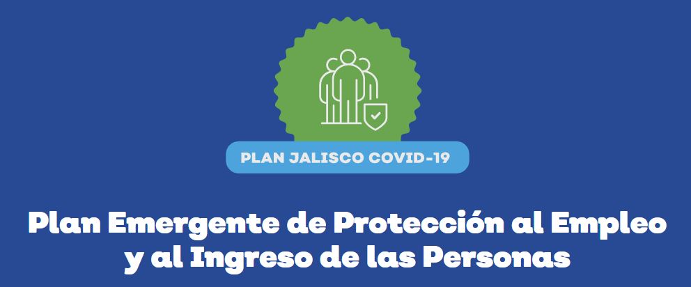 Guía de apoyo del gobierno para desempleados: pasos y recursos