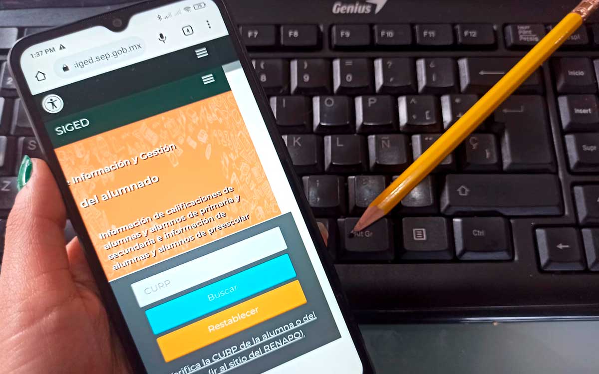 guia para consultar calificaciones de secundaria en siged sep