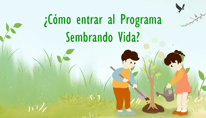 Guía para registrarse como técnico en el programa Sembrando Vida