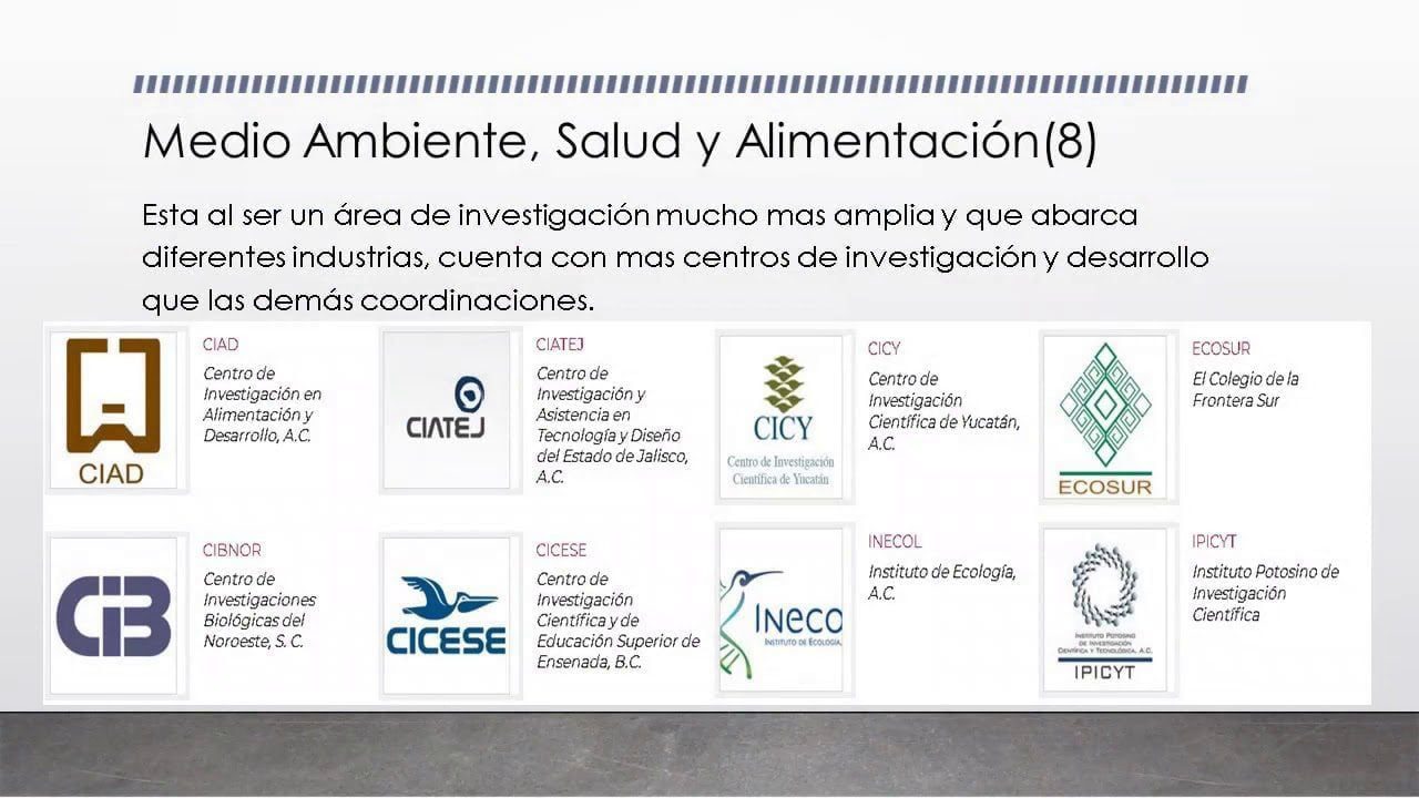 Guía paso a paso para acceder al servicio en línea del CONACYT