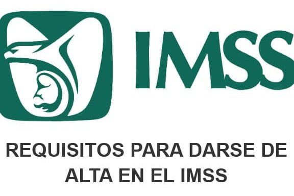 Requisitos para renta vitalicia en el IMSS: ¡Conoce cómo obtenerla!