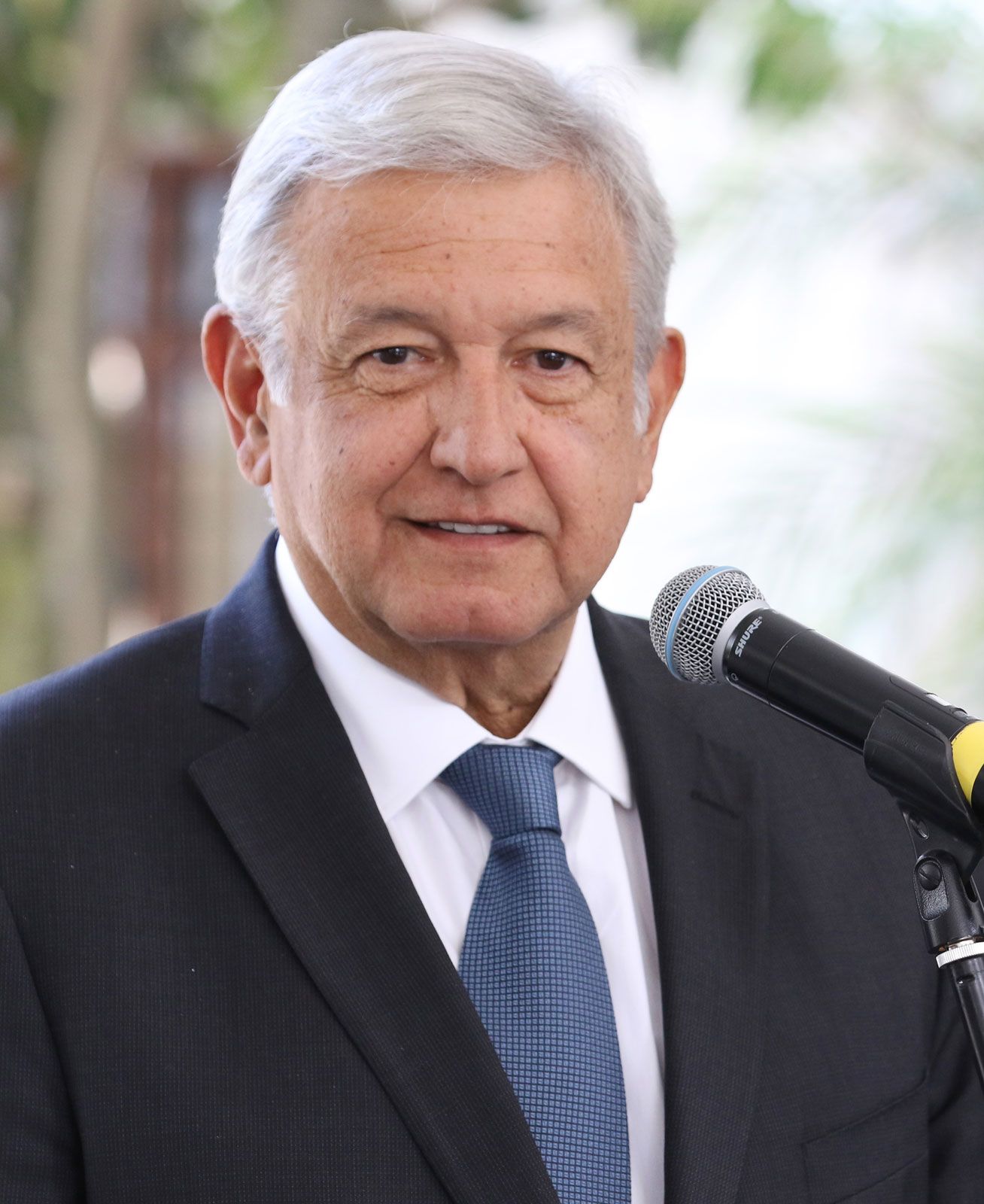 La carrera estudiada por Andrés Manuel López Obrador