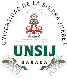La Universidad de la Sierra Juárez: ¡Educación de calidad para todos!