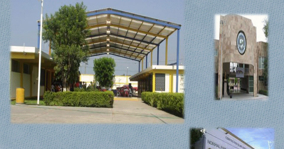 Las mejores escuelas en Nuevo León: calidad educativa garantizada