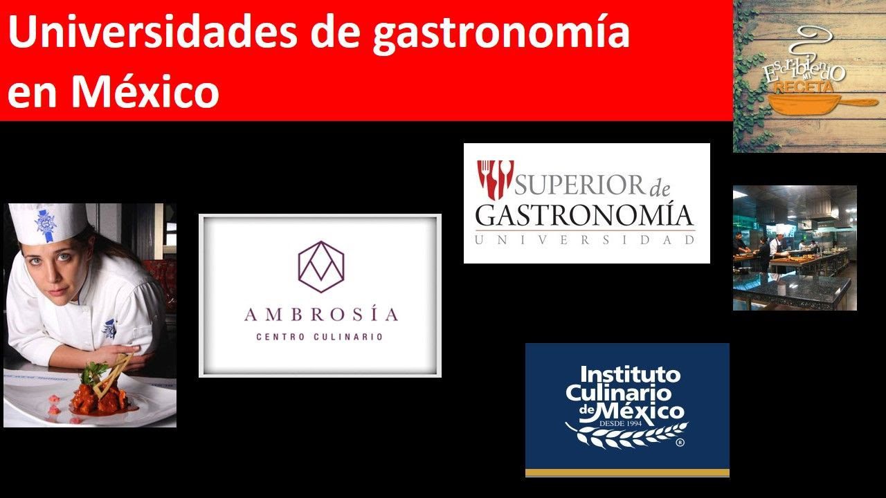 Las mejores universidades de gastronomía en la Ciudad de México