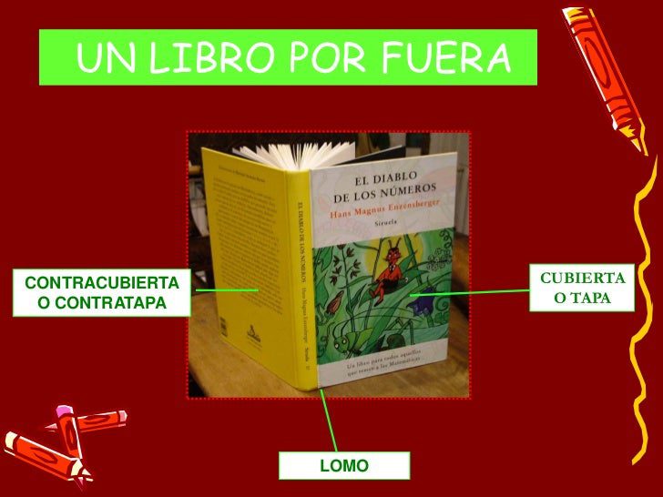 Libro de inglés de la SEP para primaria: ¿Cuál es y cómo se utiliza?