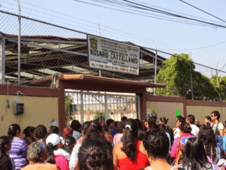 Los mejores colegios de primaria en Rosario Castellanos: ¡imperdibles!