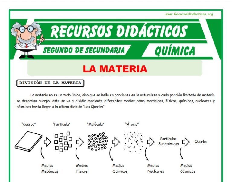 Materias en SEGUNDO de SECUNDARIA: ¡Descúbrelas!