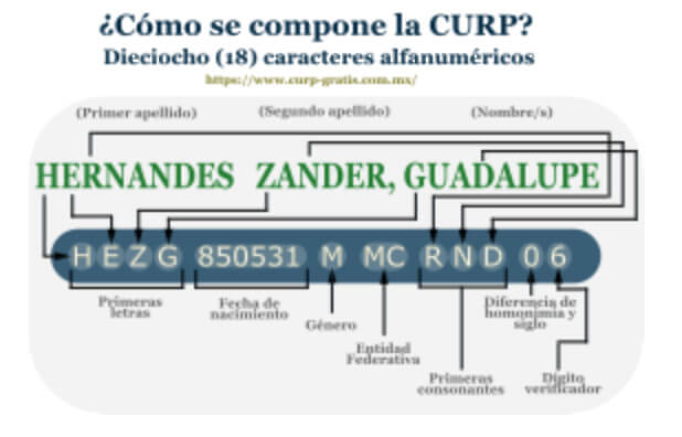 Obtén tu CURP fácilmente en línea: conoce el proceso paso a paso