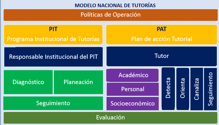 Opciones académicas en la Universidad de Tehuacán: descubre los programas de estudio