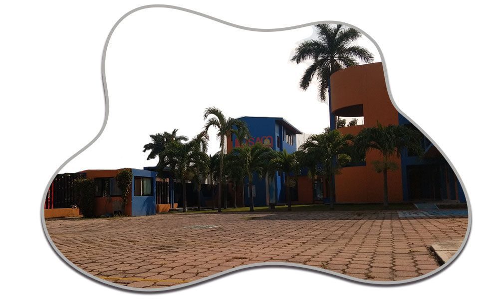 Opciones académicas en la Universidad San Marcos de San Cristóbal