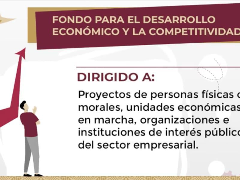 Opciones de apoyo económico en Hidalgo para tu negocio o proyecto