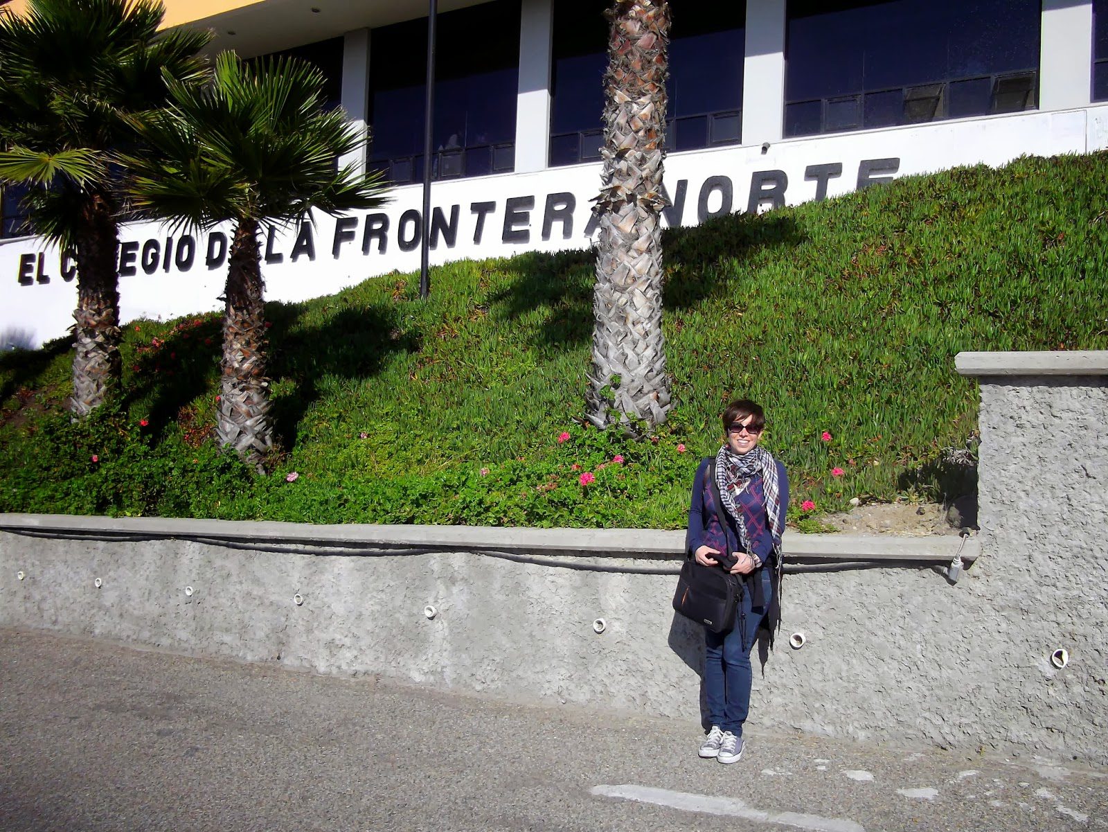 Opciones de investigación en el Colegio de la Frontera Norte
