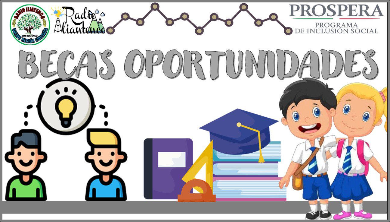 Oportunidades de estudio: convocatorias actuales de becas disponibles