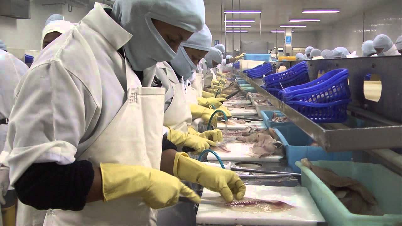 Pago de salarios en la industria pesquera: ¿Cuándo se realiza el pago?