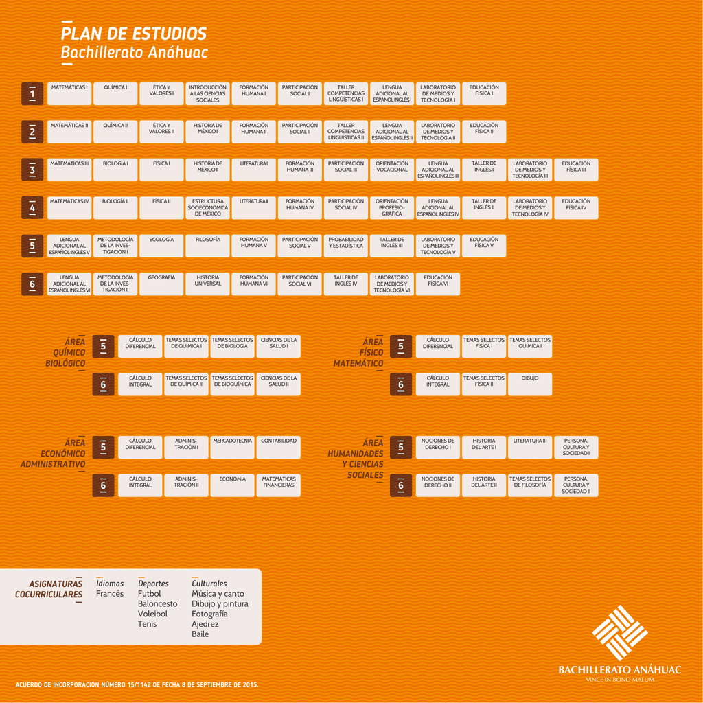 Plan de estudios del bachillerato SEP: estructura y contenidos educativos completos