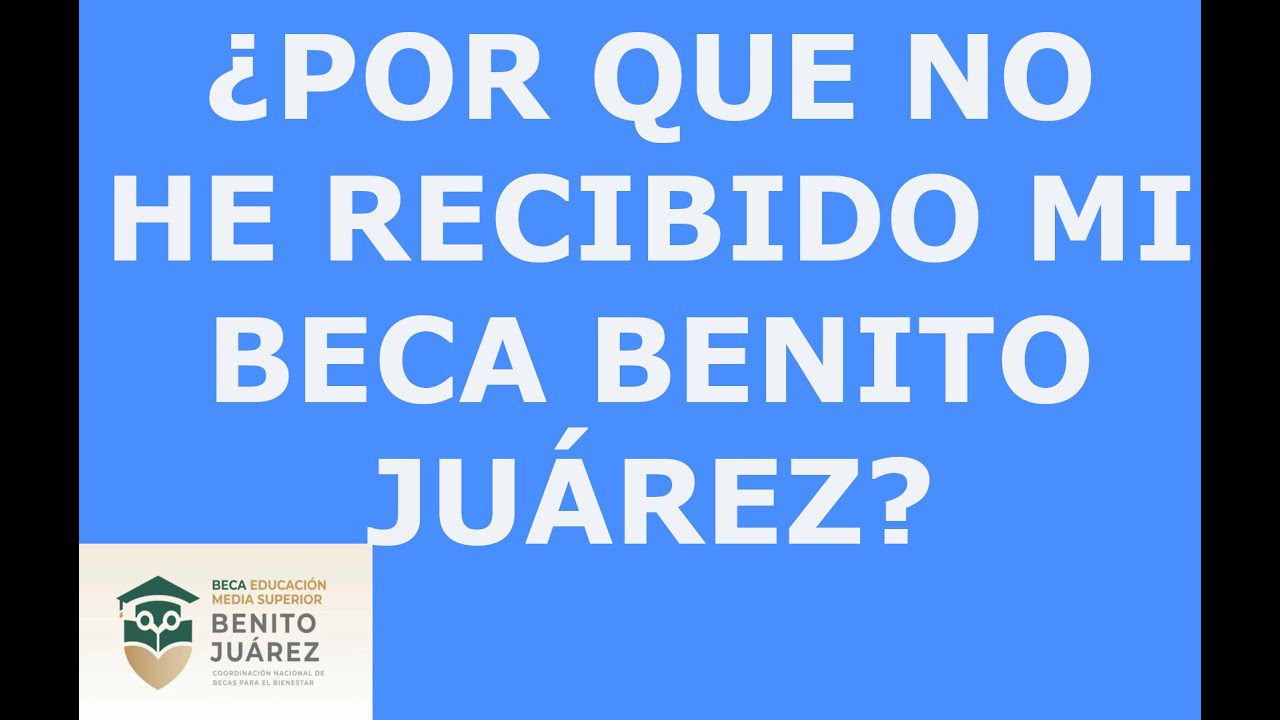 Por qué no he recibido mi beca: una investigación completa