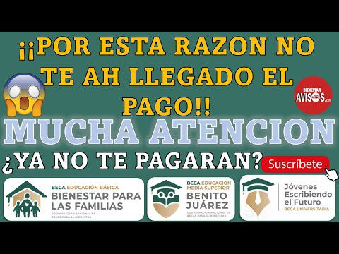 Por qué no me ha llegado mi beca