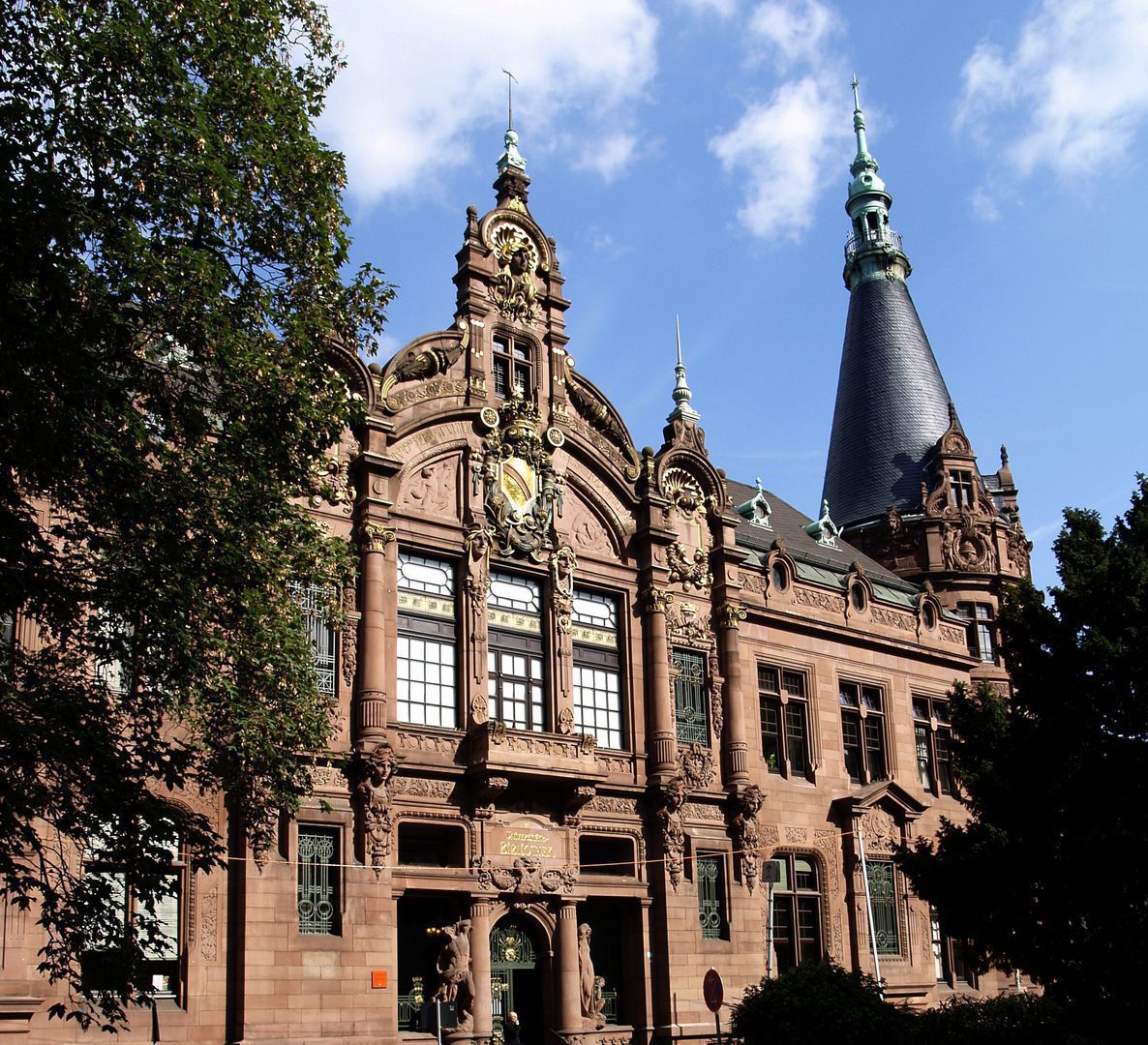 Programas académicos en la Universidad de Heidelberg: una mirada completa