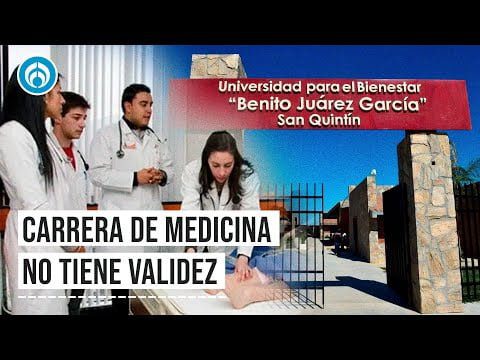 Qué carreras ofrece la universidad para el bienestar Benito Juárez