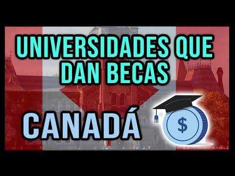 Qué empresas ofrecen becas