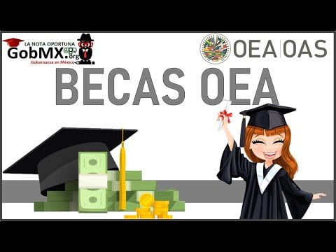 Qué es beca OEA