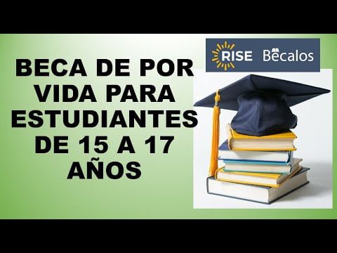 Qué es la beca Rise