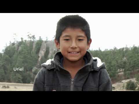 Qué es un desafío en CONAFE