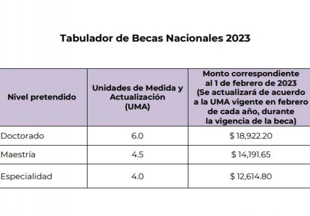 que posgrados tienen beca conacyt