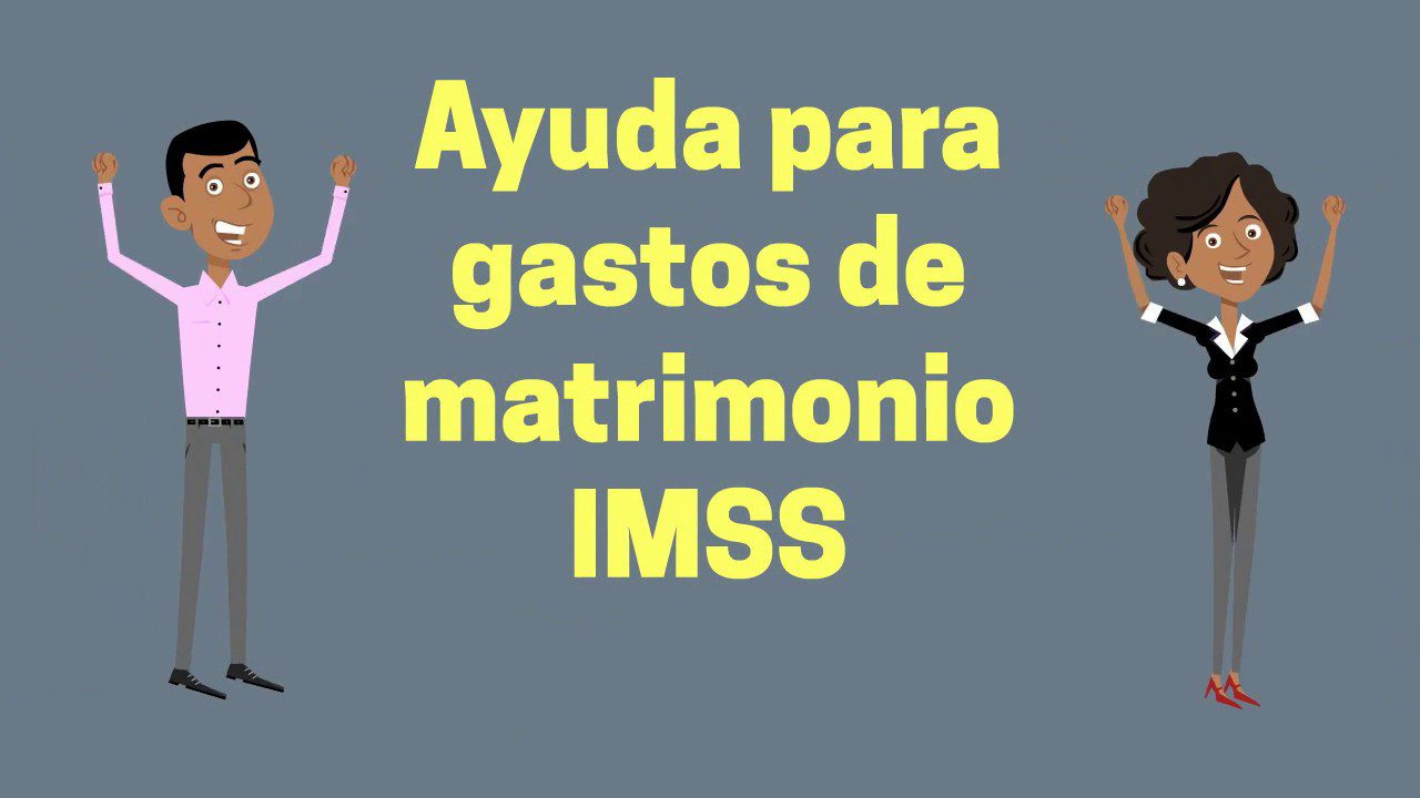 Recursos para terapia matrimonial en el IMSS: información y asistencia disponibles